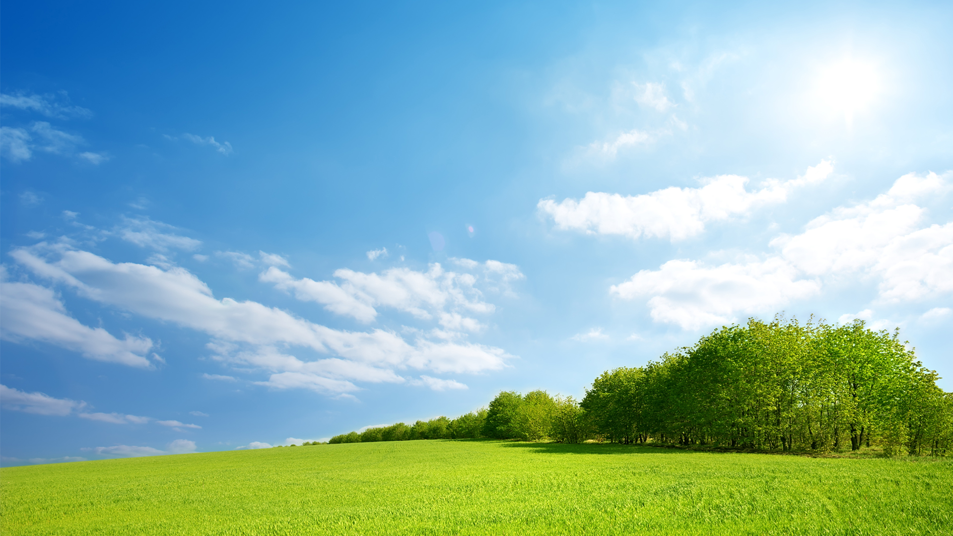 1000 Acres of Land